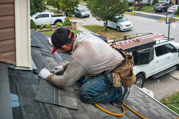 Professional Roof Repair technician working in Chrisman, IL